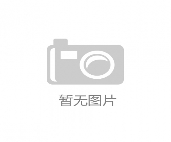 雄厚的企业实力